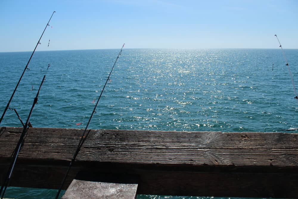 Best Fishing Spots