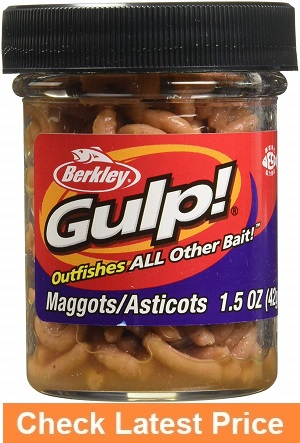 Berkley Gulp Bait