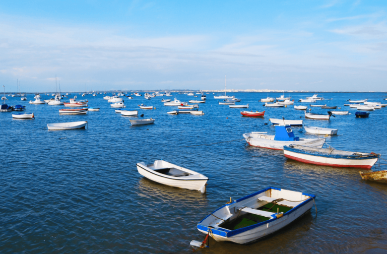 Different Types of Fishing | Explained For Newbies