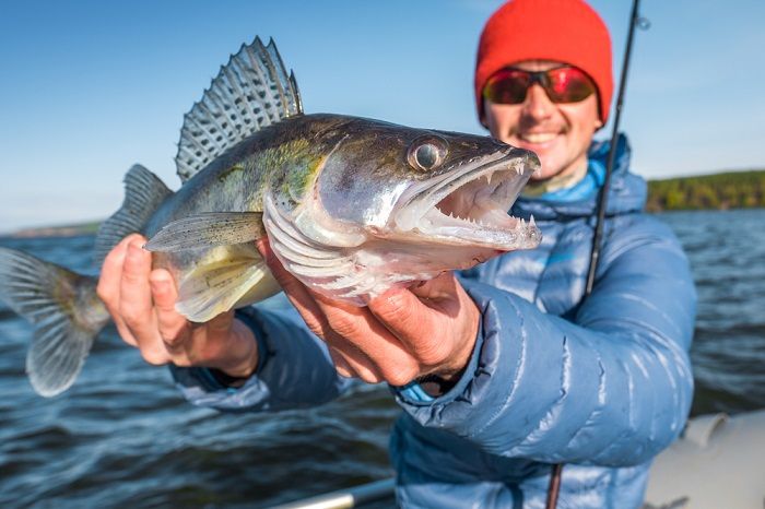 Walleye-fishing-tips