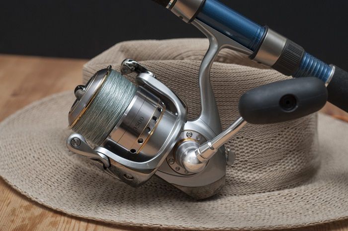 Maintenance and Cost spinning reel